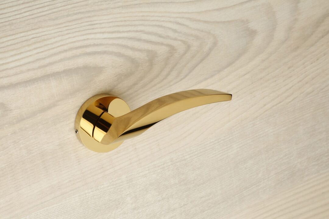 Door Handle Astor 1