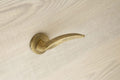 Door Handle Astor 2
