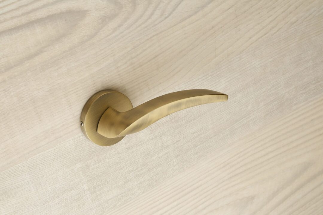 Door Handle Astor 2