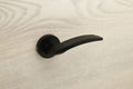Door Handle Astor 4