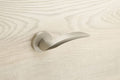Door Handle Astor 5