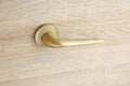 Door Handle Bella 3